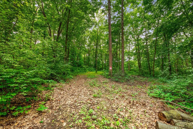 V/L Scenic View Dr, Niles, MI 49120 - photo 26