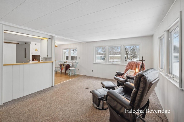 living room with light colored carpet