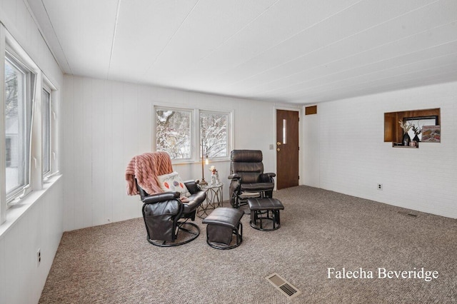 sitting room with carpet flooring