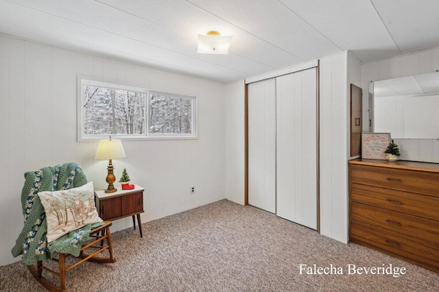 living area with carpet floors and wooden walls