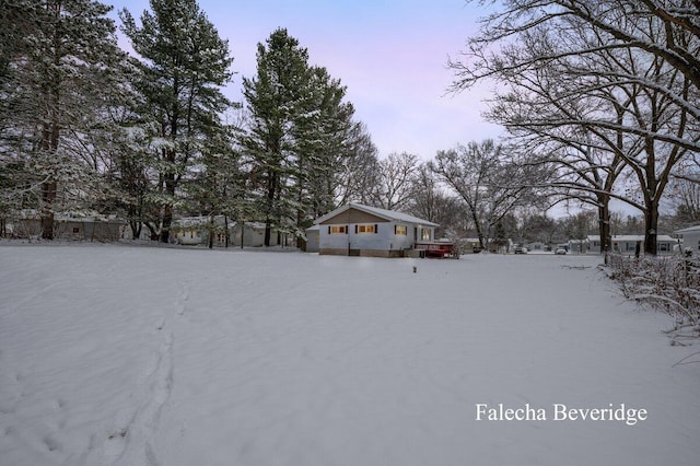 view of snowy yard