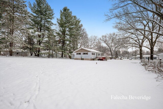 view of yard layered in snow