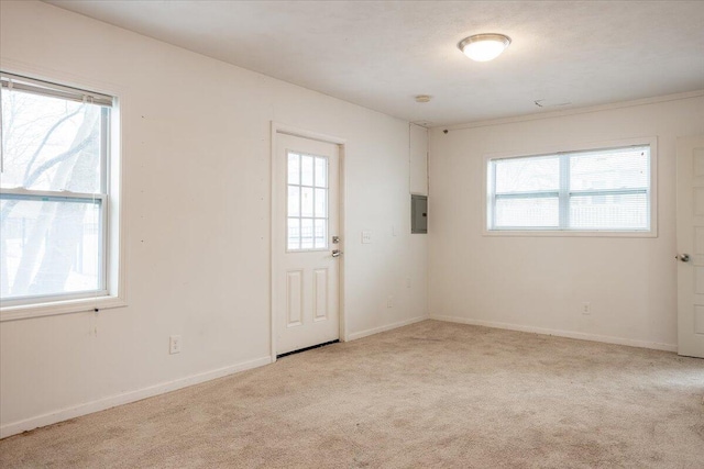 empty room featuring a healthy amount of sunlight, light colored carpet, and electric panel