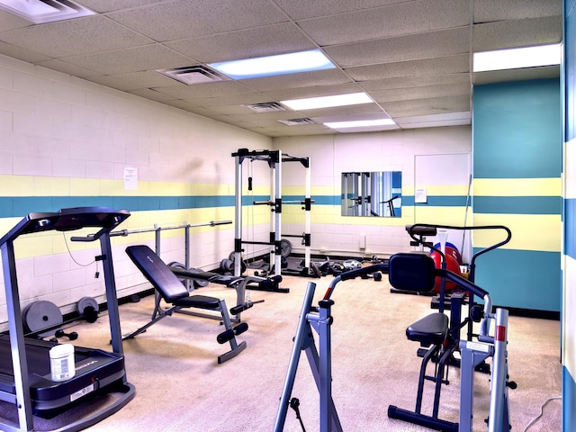 workout area featuring a paneled ceiling and carpet floors