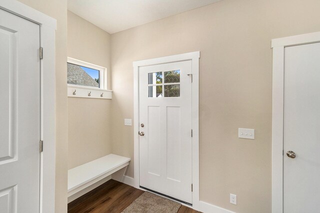 mudroom featuring dark hardwood / wood-style floors