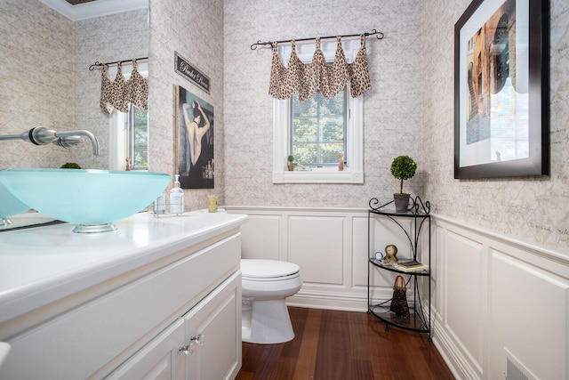 bathroom with vanity, toilet, and hardwood / wood-style floors