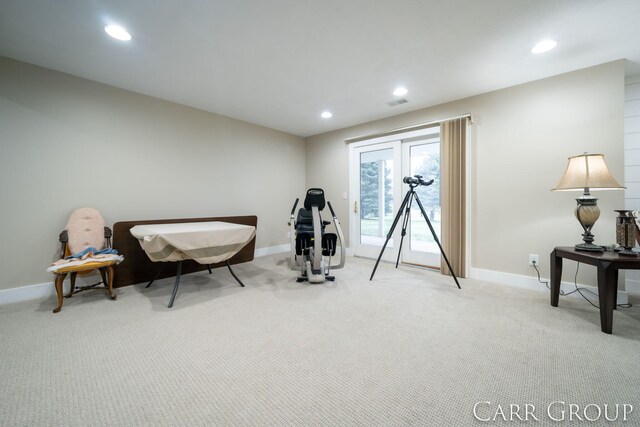 interior space with light colored carpet