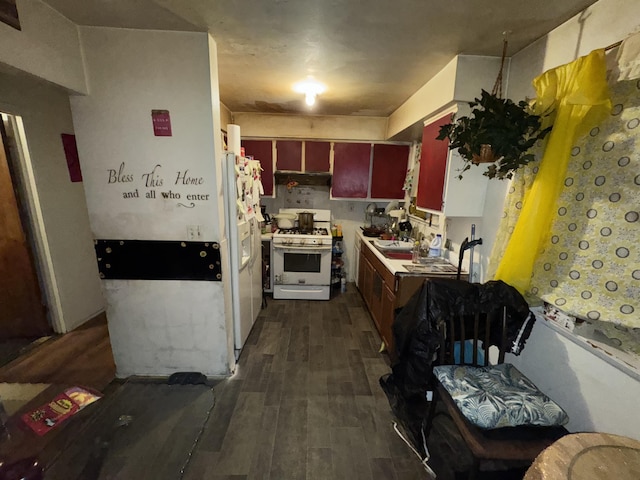 kitchen with dark hardwood / wood-style floors, white appliances, and sink