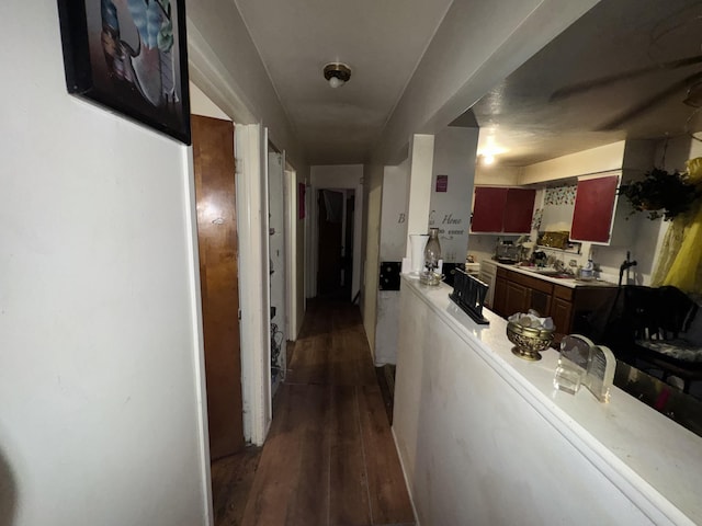 hallway featuring dark wood-type flooring