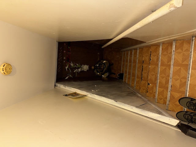 basement with wood walls