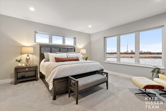 view of carpeted bedroom