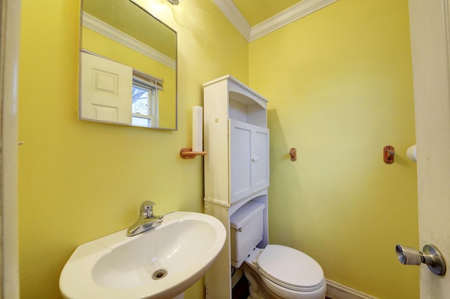 bathroom featuring toilet, crown molding, and sink