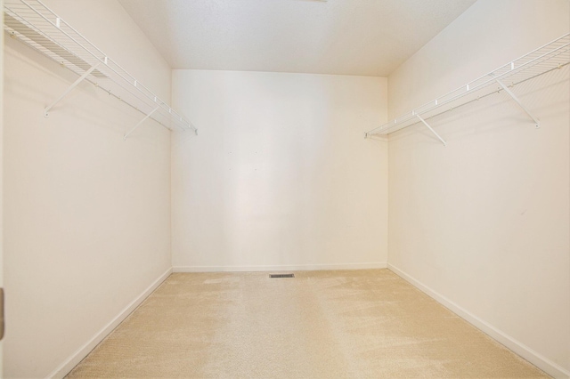 spacious closet featuring carpet