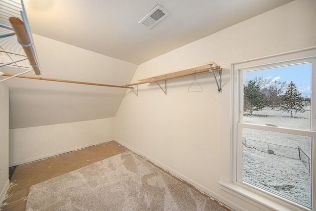 spacious closet featuring vaulted ceiling