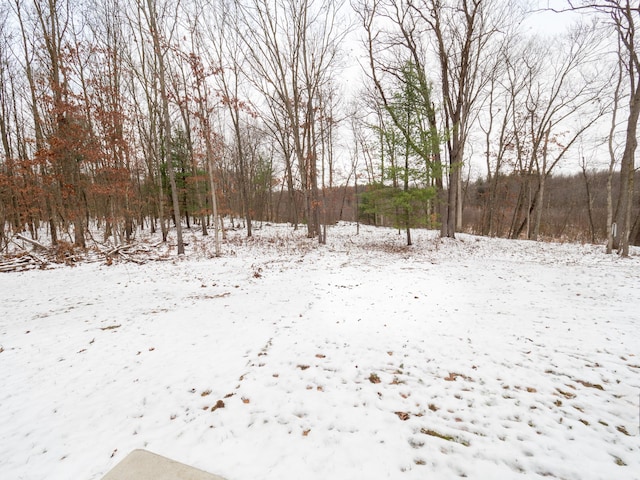 view of snowy yard