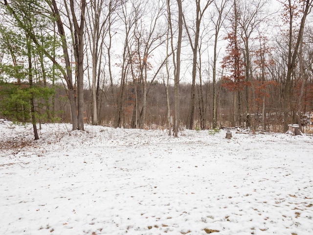 view of snowy view