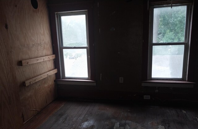 unfurnished room featuring dark hardwood / wood-style floors and a wealth of natural light