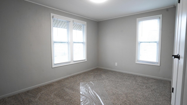 unfurnished room with a wealth of natural light, ornamental molding, and carpet flooring