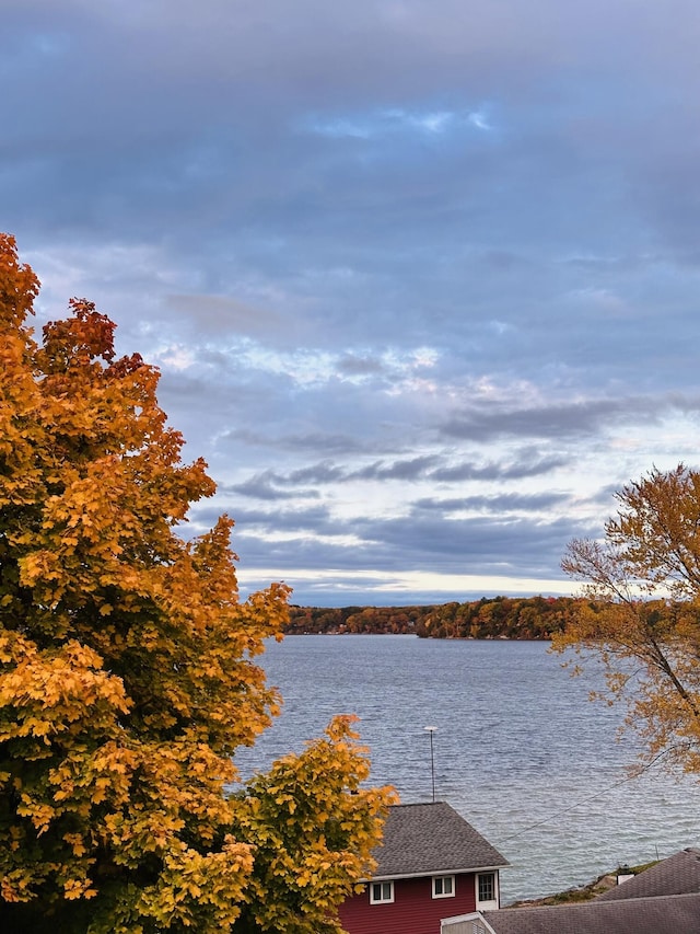 property view of water