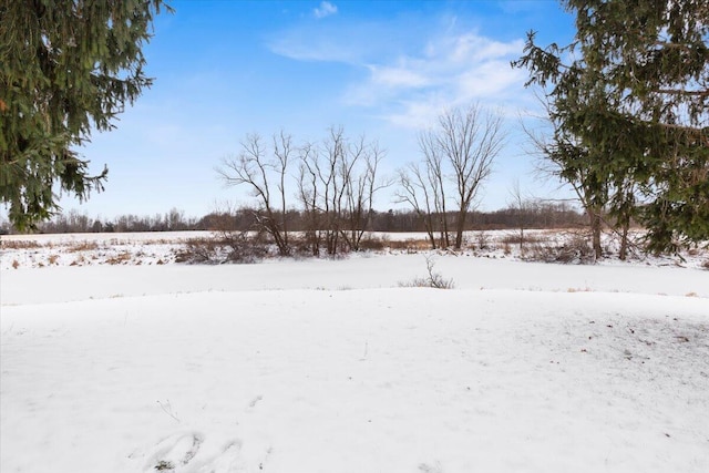 view of yard covered in snow