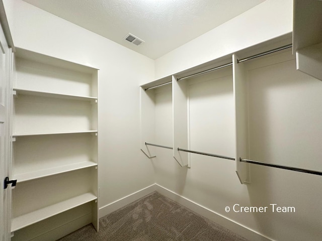 walk in closet featuring carpet