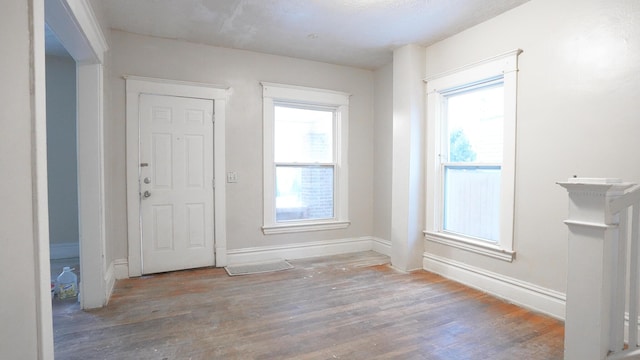 foyer entrance featuring plenty of natural light and wood-type flooring