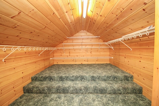 walk in closet with vaulted ceiling