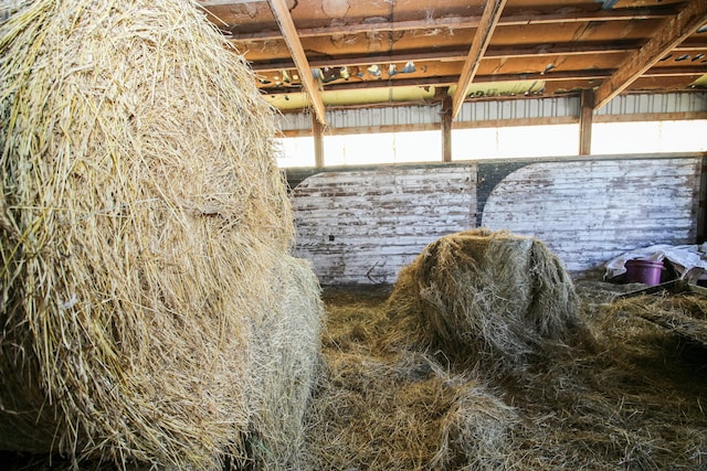 view of horse barn