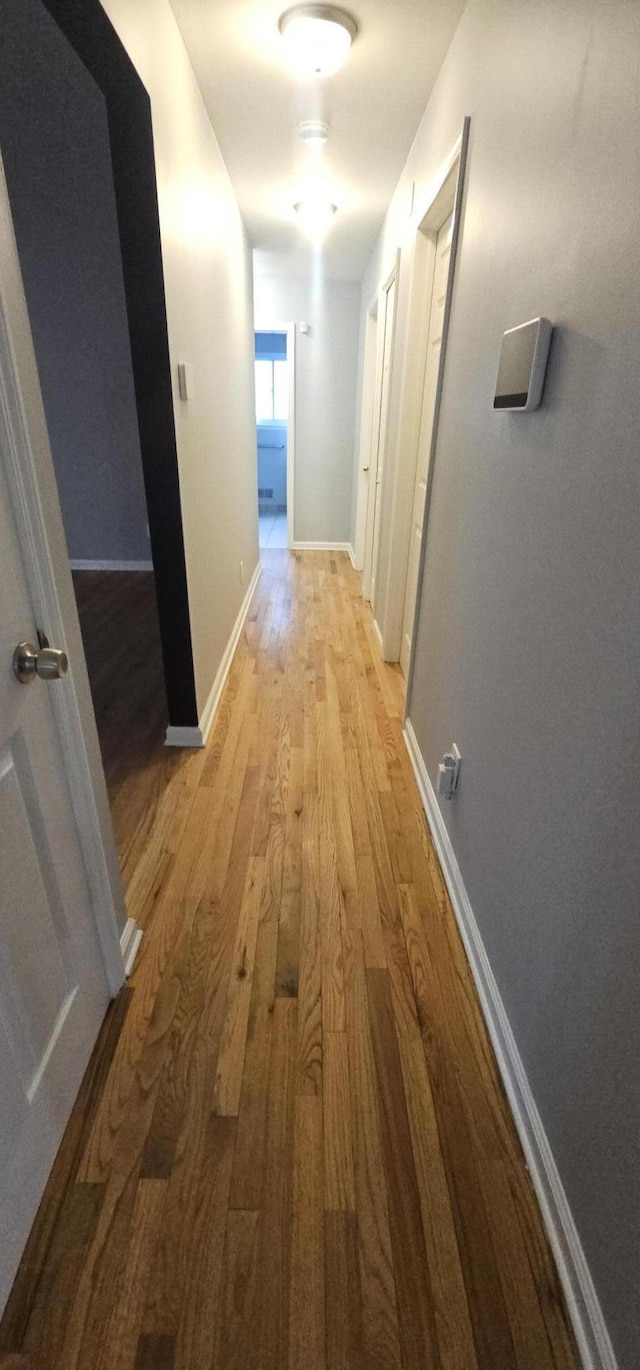 hallway featuring light hardwood / wood-style flooring