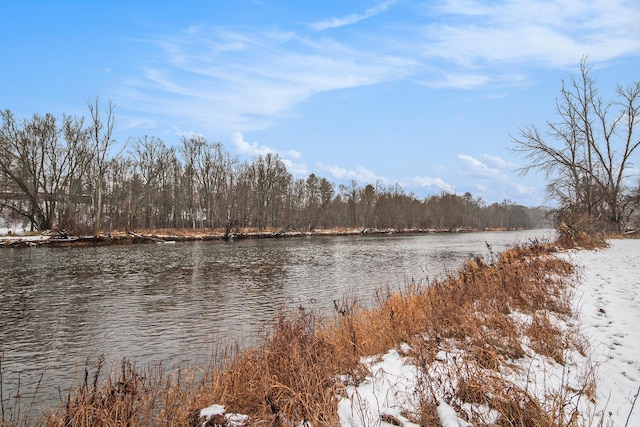 property view of water