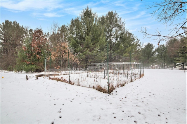 view of yard covered in snow