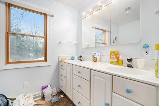 bathroom featuring vanity, crown molding, and a healthy amount of sunlight