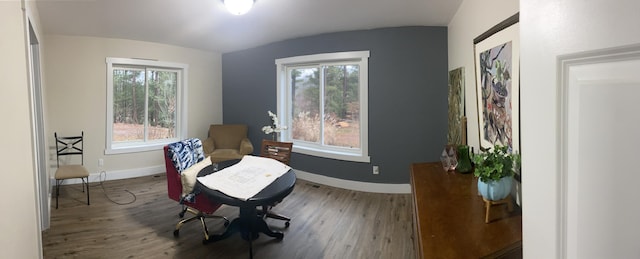 sitting room featuring hardwood / wood-style floors and a wealth of natural light