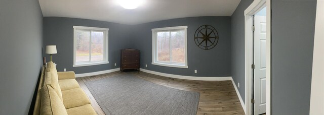 living area featuring wood-type flooring