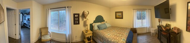 bedroom featuring dark hardwood / wood-style flooring, vaulted ceiling, and multiple windows