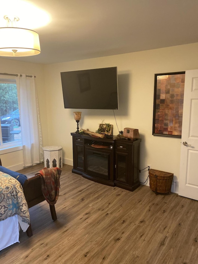 living room featuring a fireplace and hardwood / wood-style flooring