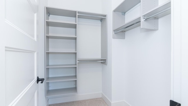 walk in closet with carpet flooring