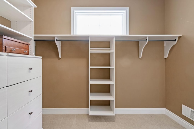 spacious closet featuring light carpet