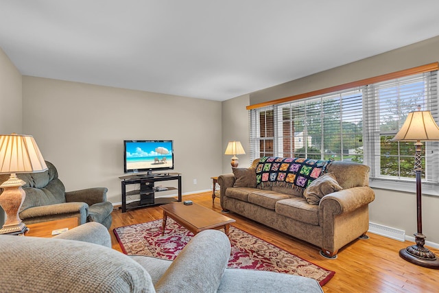 living room with wood-type flooring