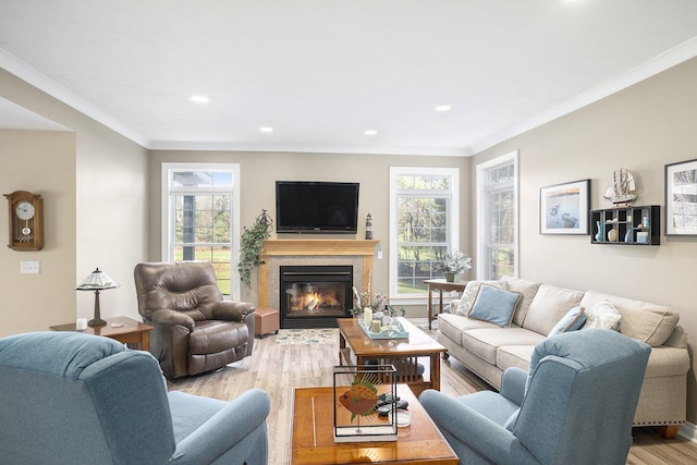 living room featuring light hardwood / wood-style floors, crown molding, and a wealth of natural light