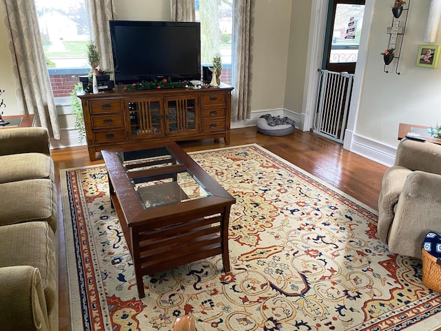 living room with a healthy amount of sunlight and wood-type flooring