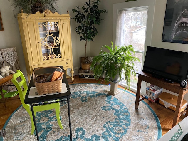 sitting room featuring hardwood / wood-style floors