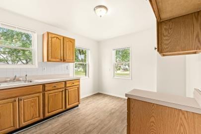 kitchen with sink and light hardwood / wood-style flooring