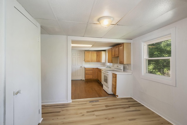 kitchen featuring electric stove, a paneled ceiling, sink, and light hardwood / wood-style floors