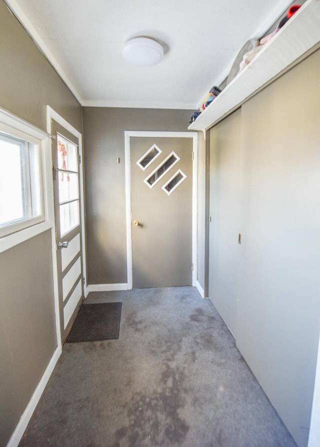 doorway to outside featuring carpet flooring