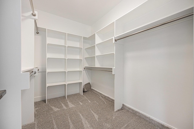 3545 Conrail Dr, Byron Center, MI 49315 - spacious closet with carpet floors