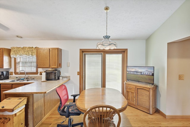 dining room with sink, a textured ceiling, and light wood-type flooring