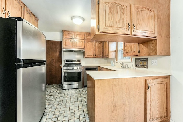 kitchen with kitchen peninsula, sink, and stainless steel appliances