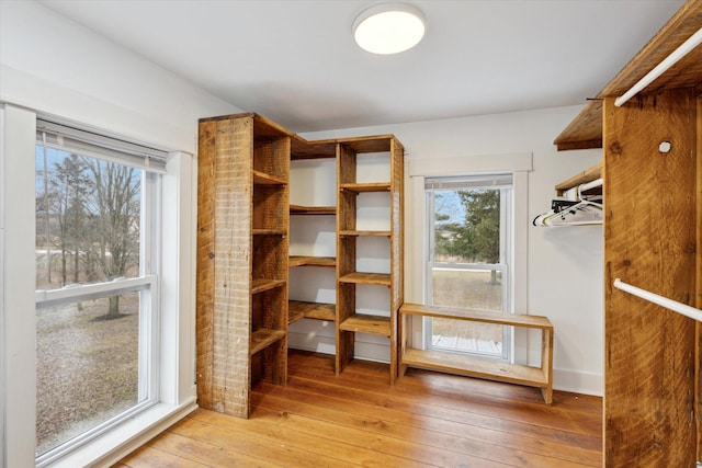 spacious closet featuring light hardwood / wood-style floors