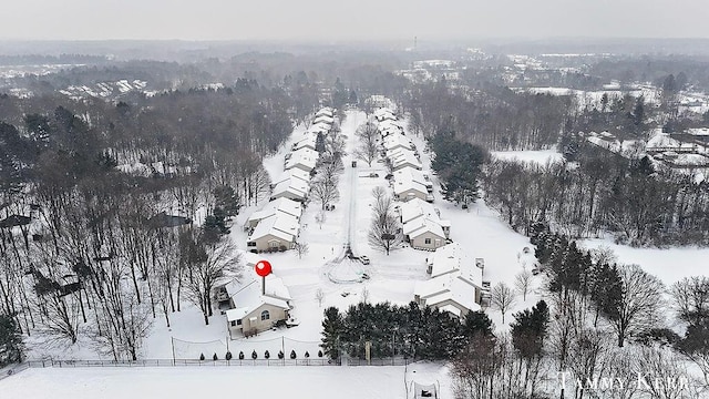 view of snowy aerial view